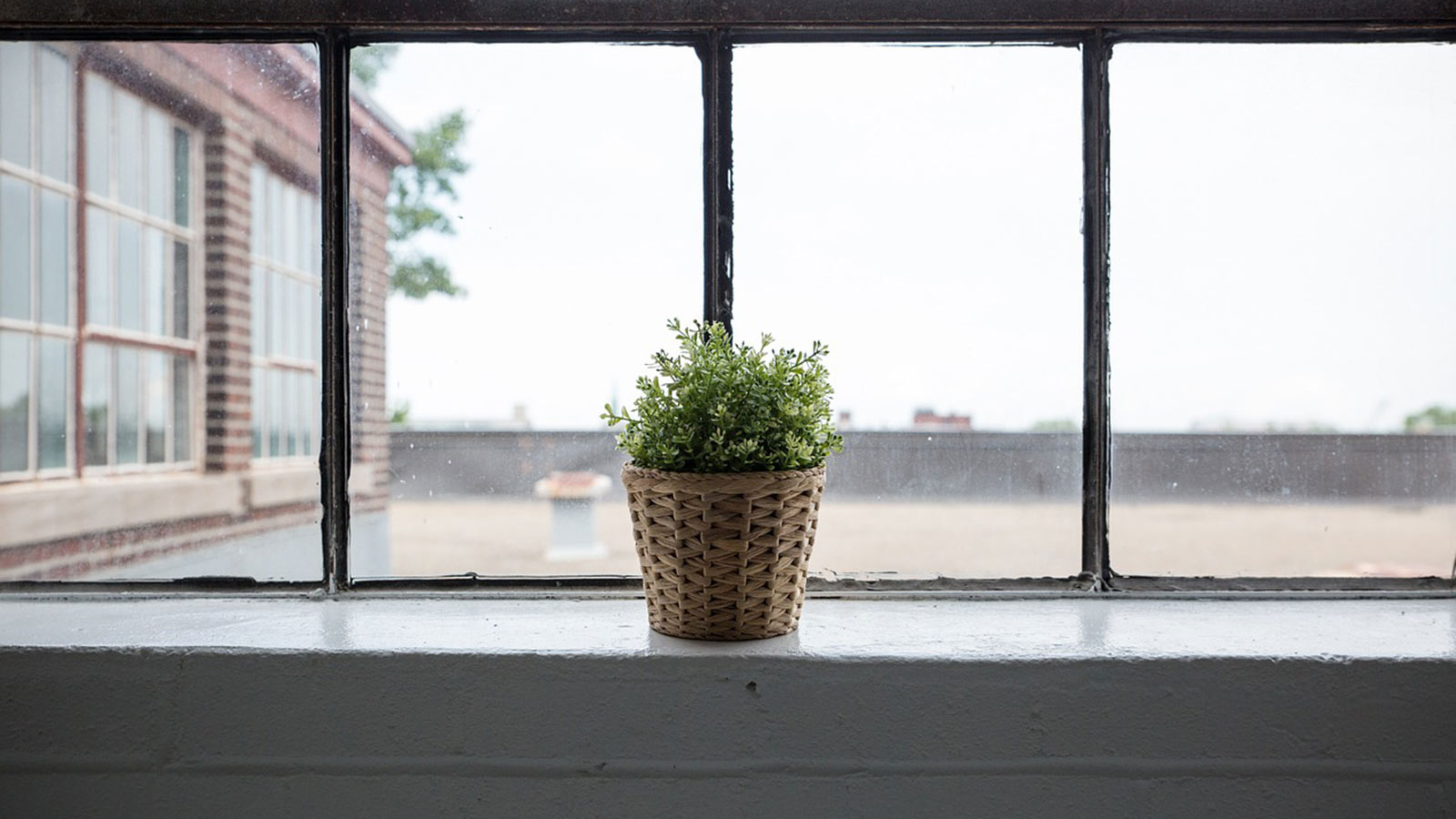 window-839824_1600x900